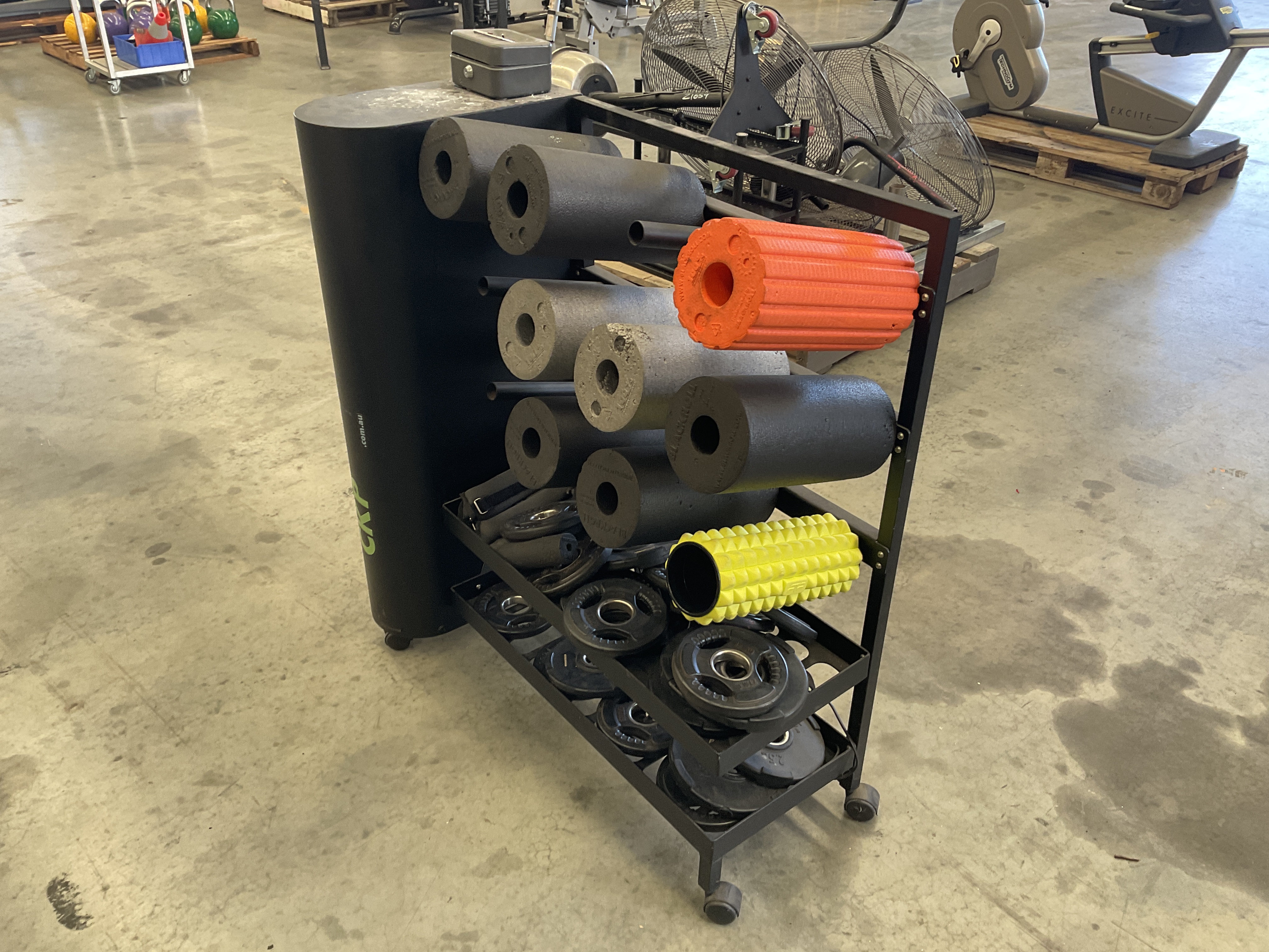 Gym Rack with Assorted Weights and Foam Rolls - unreserved
