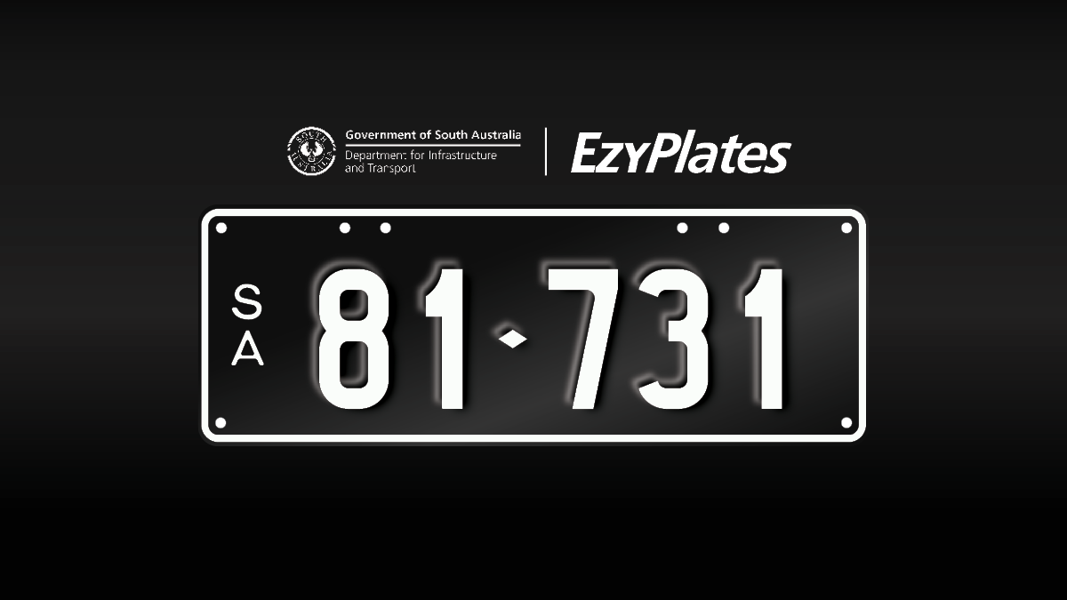 Exclusive Numeric Plate "81-731"