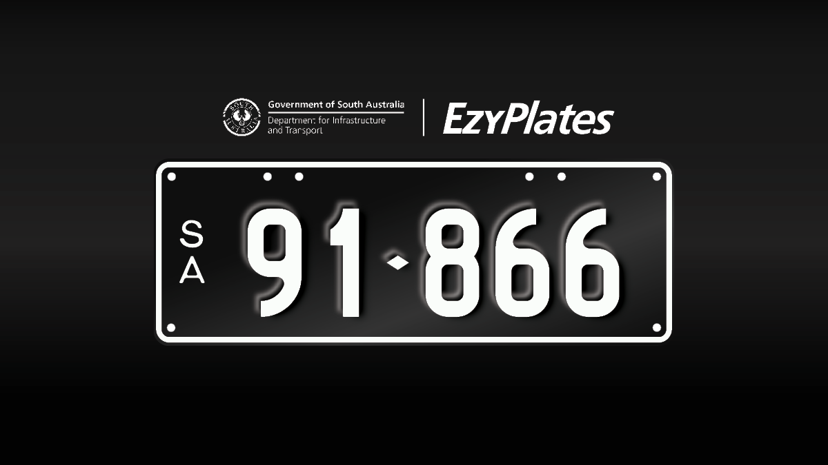 12 · Exclusive Numeric Plate "91-866"