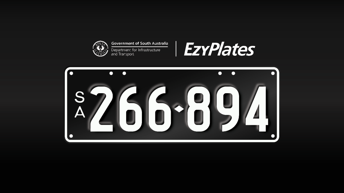 Exclusive Numeric Plate "266-894"