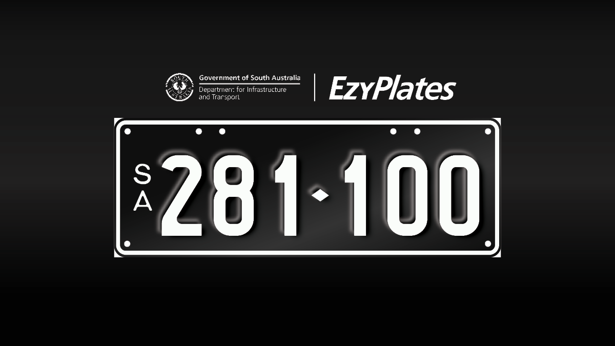Exclusive Numeric Plate "281-100"