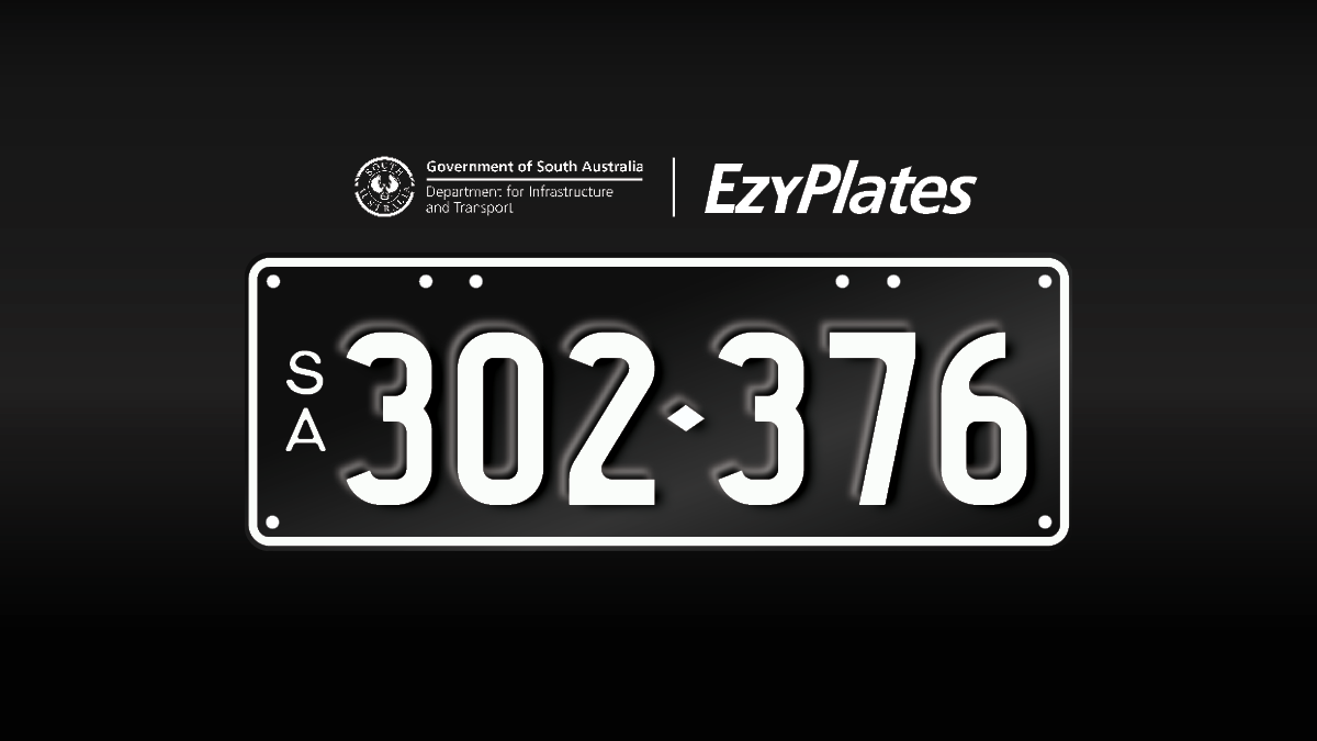 Exclusive Numeric Plate "302-376"