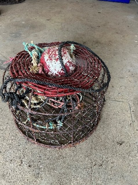 Lobster Pot **Unreserved**