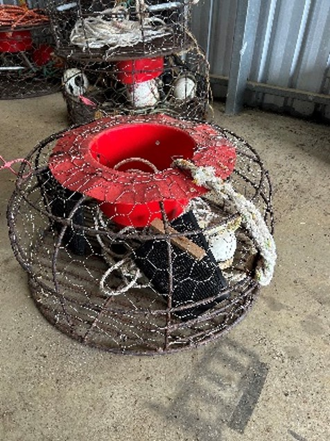 13 · Lobster Pot **Unreserved**