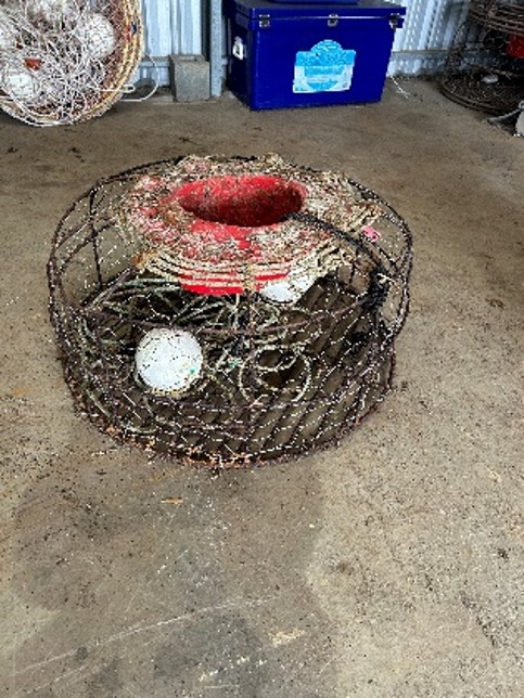 15 · Lobster Pot **Unreserved**