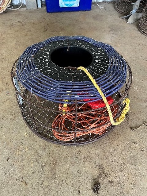 16 · Lobster Pot **Unreserved**