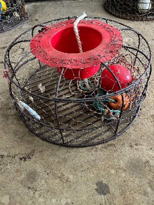 Lobster Pot **Unreserved**