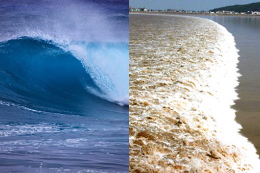 similarities and differences tsunamis
