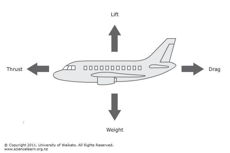 forces affecting flight science learning hub forces of flight