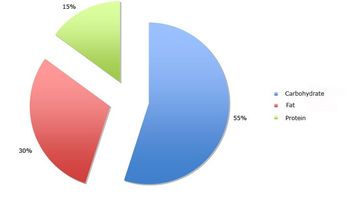 Bullying Essay Thesis Essays And Term Papers also A Thesis For An Essay Should Macronutrients Science Learning Hub Thesis For An Analysis Essay