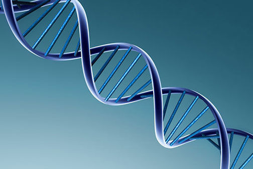 biology idea 5 organisation science