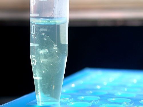 science learning hub