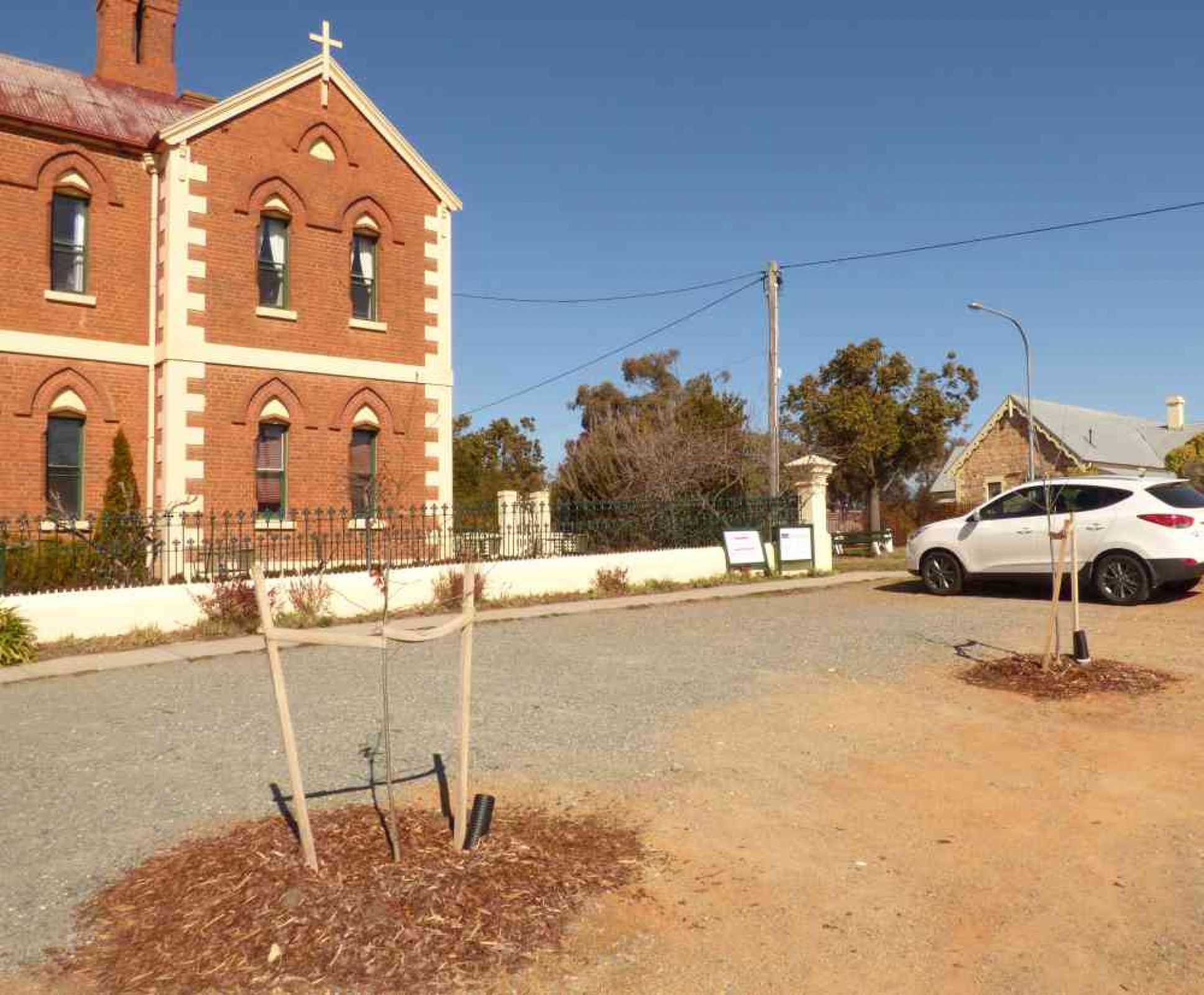 Queanbeyan Public School Avenue of Memory NSW War Memorials Register