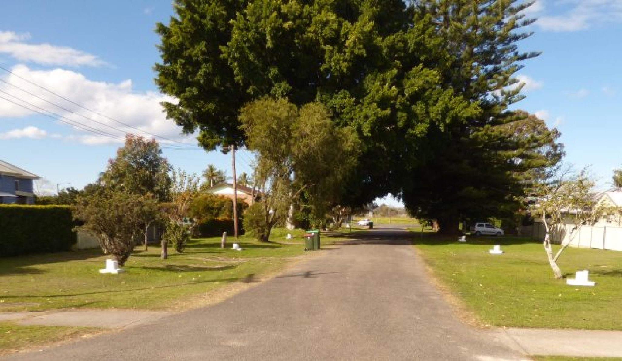 Gladstone Memorial Avenue NSW War Memorials Register