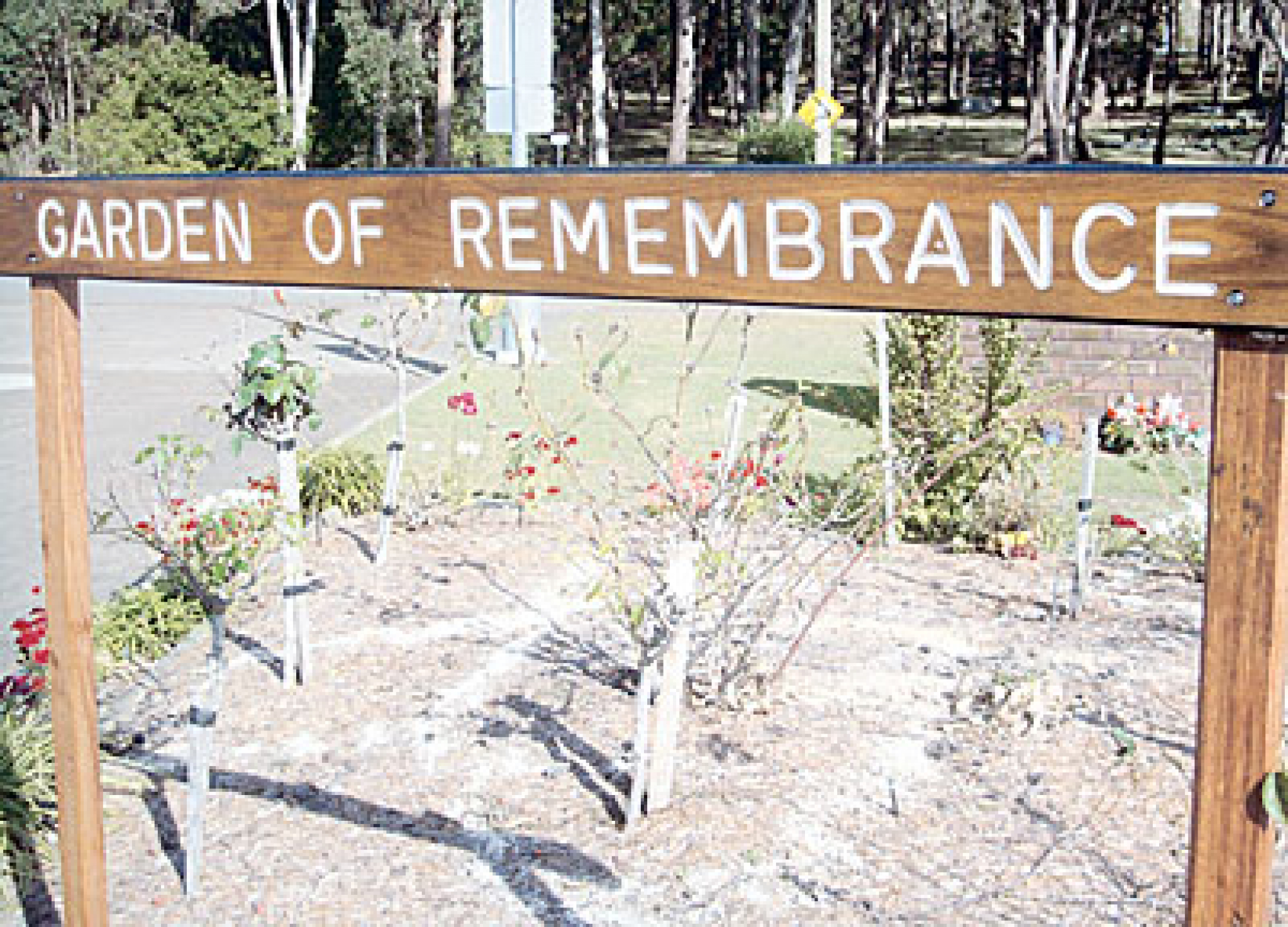 Forster Memorial Service Club Garden of Remembrance NSW War Memorials
