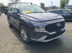 View Auto part Rear Garnish Hyundai Santa Fe 2021