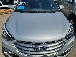 View Auto part Differential Centre Hyundai Santa Fe 2016