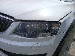 View Auto part Right Guard Liner Skoda Octavia 2015