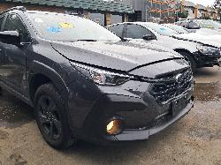 View Auto part Bootlid/Tailgate Subaru Crosstrek 2023