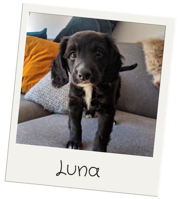 Luna