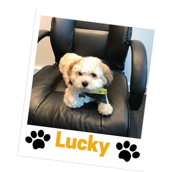 Lucky