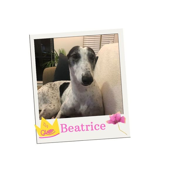 Beatrice