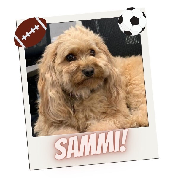 Sammi