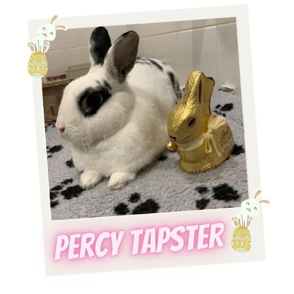 Percy Tapster