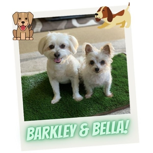 Mr Barkley & Bella
