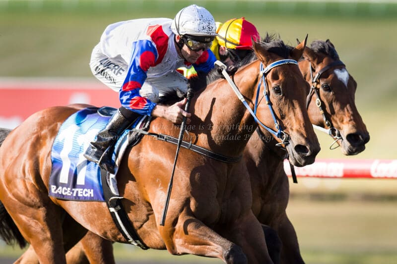 ABILITY - Bletchingly Stakes (G3) 1200m ABILITY - Bletchingly Stakes (G3) 1200m