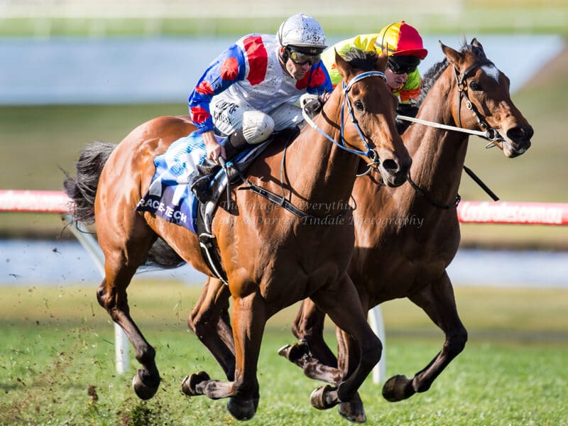 ABILITY - Bletchingly Stakes (G3) 1200m ABILITY - Bletchingly Stakes (G3) 1200m
