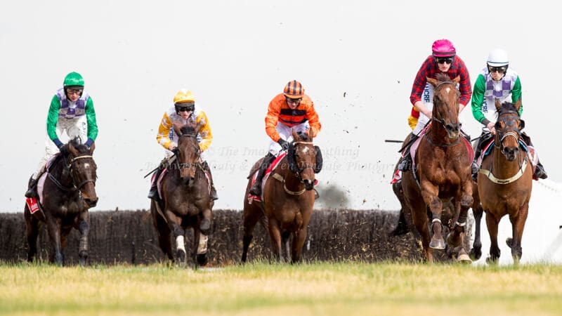 Crisp Steeplechase - Ladbrokes Park Lakeside Crisp Steeplechase - Ladbrokes Park Lakeside