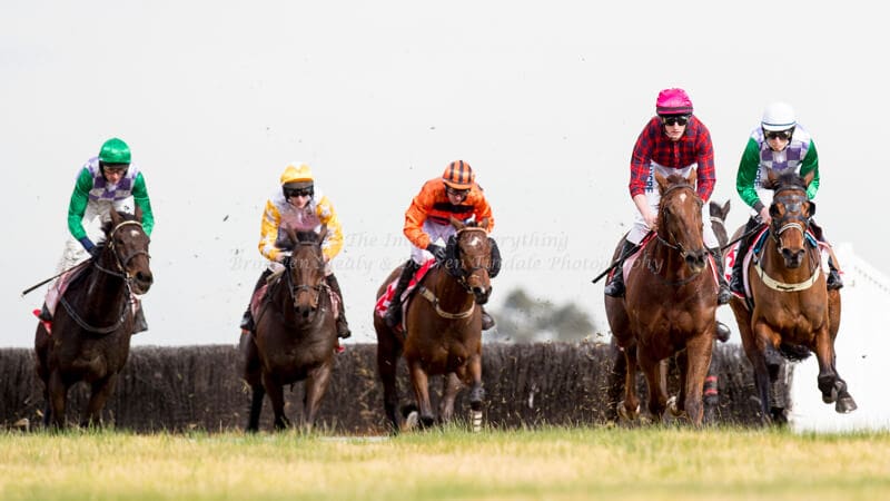 Crisp Steeplechase - Ladbrokes Park Lakeside Crisp Steeplechase - Ladbrokes Park Lakeside