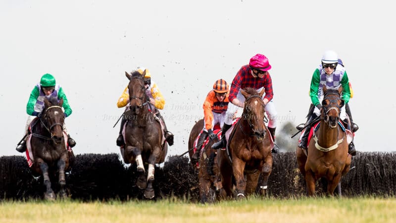 Crisp Steeplechase - Ladbrokes Park Lakeside Crisp Steeplechase - Ladbrokes Park Lakeside