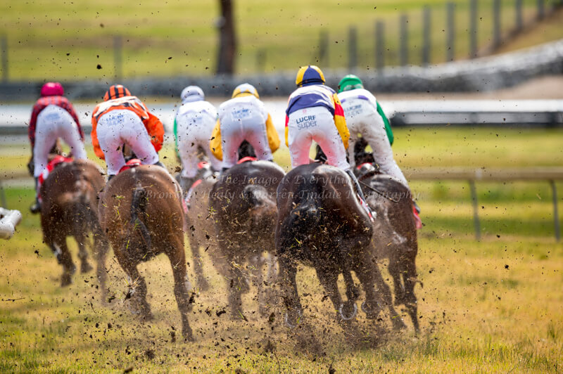 Crisp Steeplechase - Ladbrokes Park Lakeside Crisp Steeplechase - Ladbrokes Park Lakeside