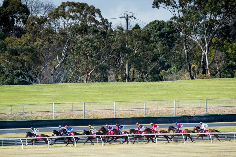 Grand National Hurdle - Ladbrokes Park Lakeside Grand National Hurdle - Ladbrokes Park Lakeside