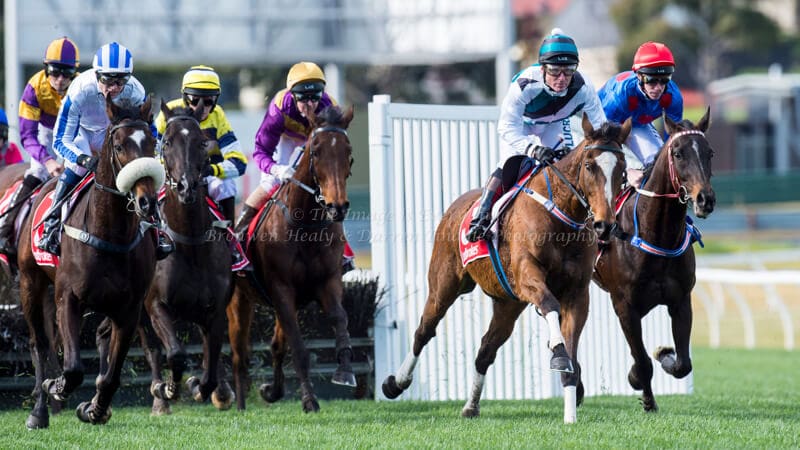 Grand National Hurdle - Ladbrokes Park Lakeside Grand National Hurdle - Ladbrokes Park Lakeside