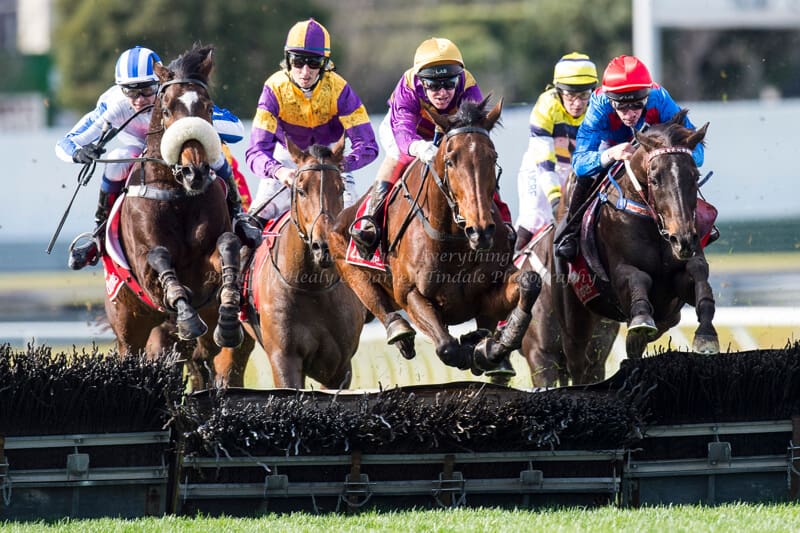 Grand National Hurdle - Ladbrokes Park Lakeside Grand National Hurdle - Ladbrokes Park Lakeside