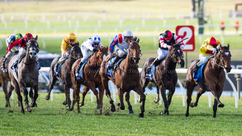 ABILITY - Bletchingly Stakes (G3) 1200m ABILITY - Bletchingly Stakes (G3) 1200m