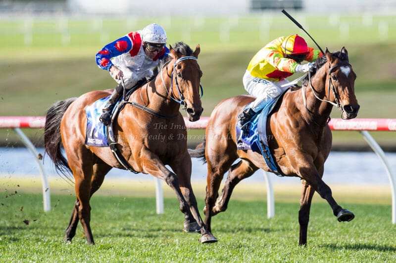ABILITY - Bletchingly Stakes (G3) 1200m ABILITY - Bletchingly Stakes (G3) 1200m