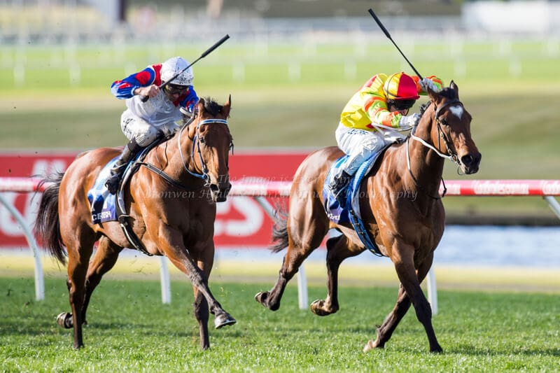 ABILITY - Bletchingly Stakes (G3) 1200m ABILITY - Bletchingly Stakes (G3) 1200m