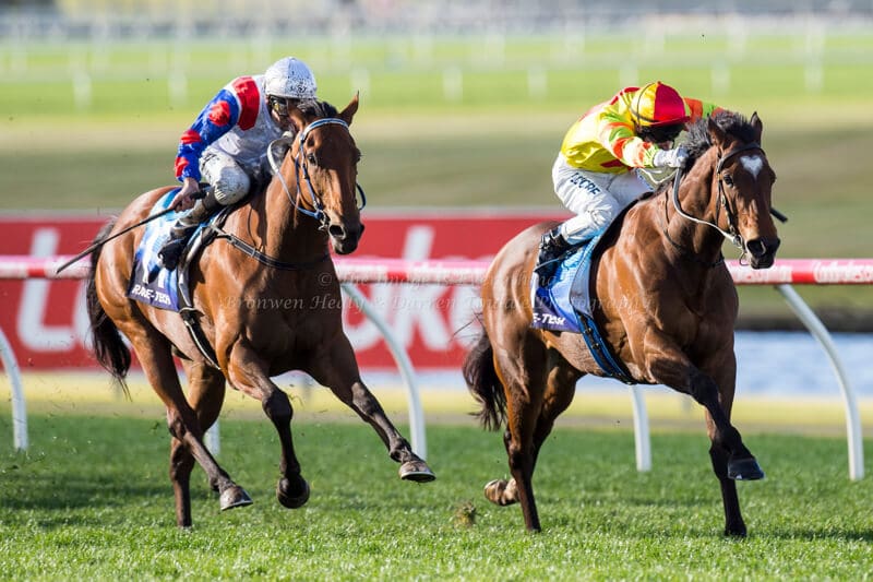 ABILITY - Bletchingly Stakes (G3) 1200m ABILITY - Bletchingly Stakes (G3) 1200m