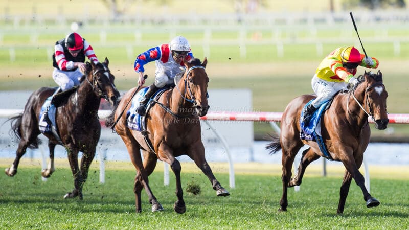 ABILITY - Bletchingly Stakes (G3) 1200m ABILITY - Bletchingly Stakes (G3) 1200m