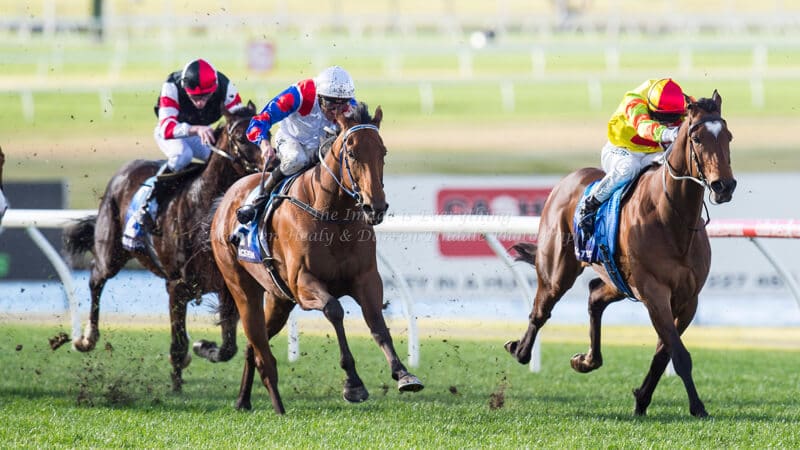 ABILITY - Bletchingly Stakes (G3) 1200m ABILITY - Bletchingly Stakes (G3) 1200m