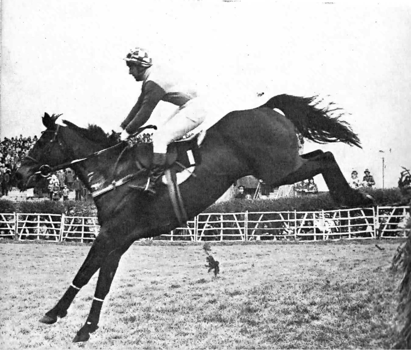 Crisp was truly the Greatest Sportshounds