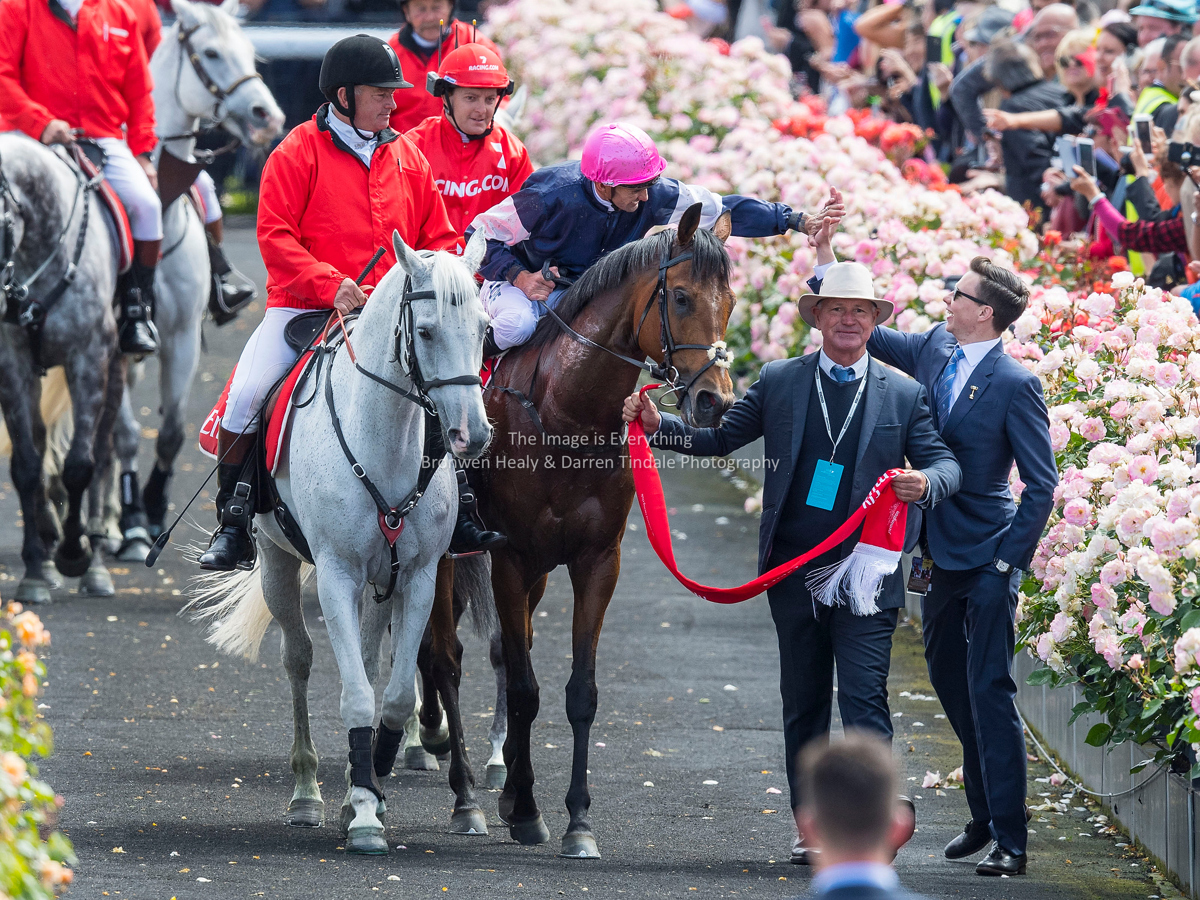 Melbourne Cup Day. Flemington Racecourse. 7 November 2017. Melbourne Cup Day. Flemington Racecourse. 7 November 2017.