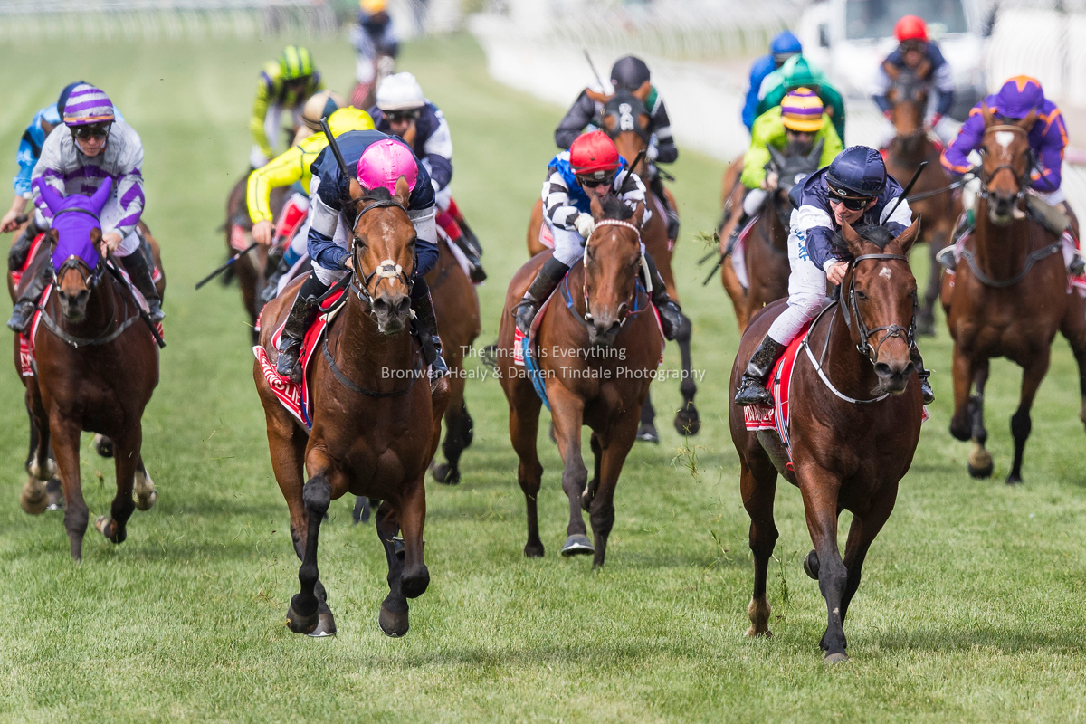 Melbourne Cup Day. Flemington Racecourse. 7 November 2017. Melbourne Cup Day. Flemington Racecourse. 7 November 2017.
