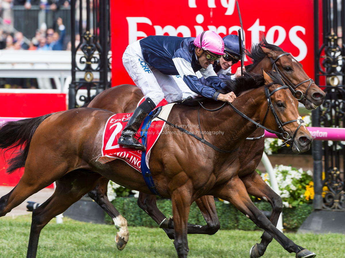 Melbourne Cup Day. Flemington Racecourse. 7 November 2017 Melbourne Cup Day. Flemington Racecourse. 7 November 2017