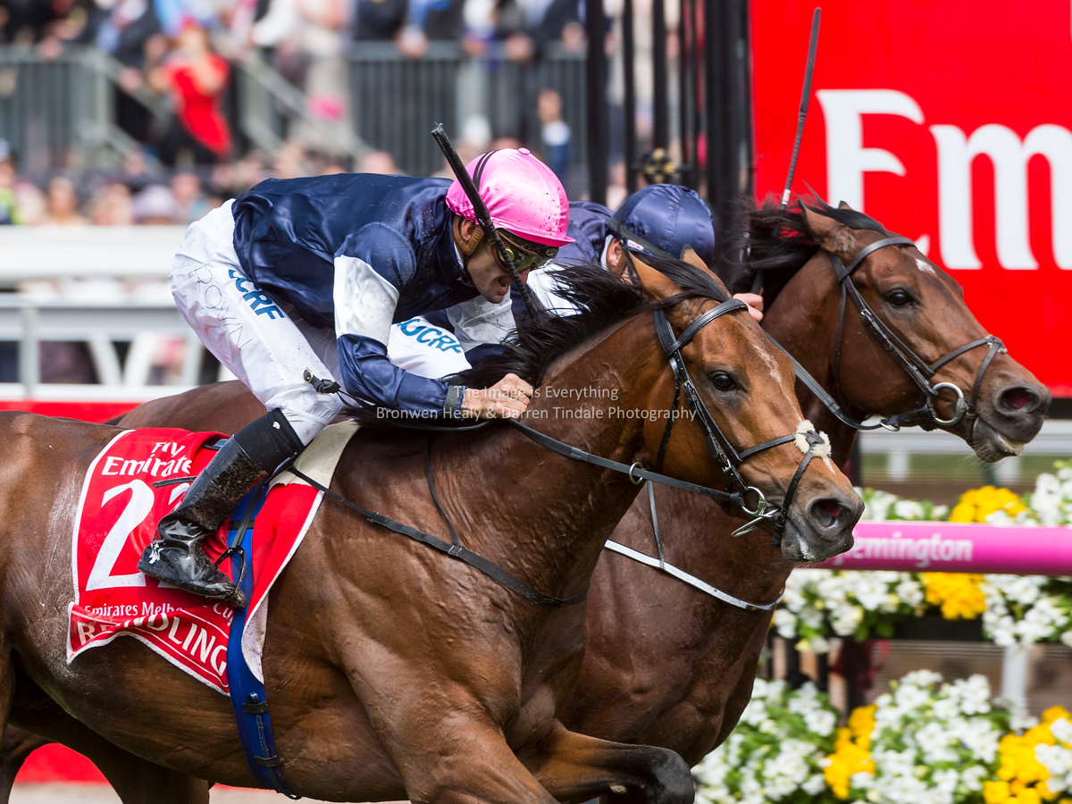 Melbourne Cup Day. Flemington Racecourse. 7 November 2017 Melbourne Cup Day. Flemington Racecourse. 7 November 2017