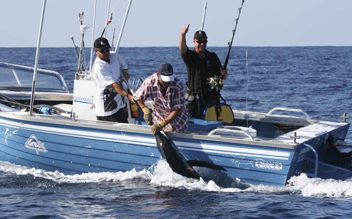 Many South Coast anglers fish for gamefish like marlin from boats in the 5-7 metre range.